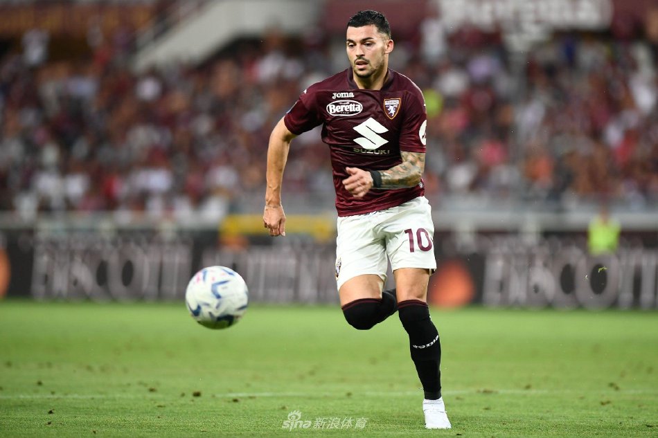 更是战术体 更是战术体